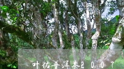 叶佑普洱茶2007/2023070917492