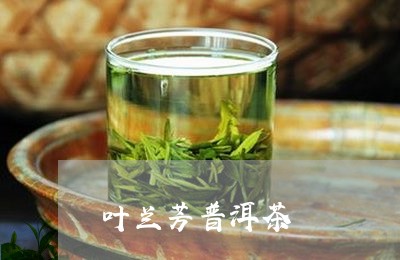 叶兰芳普洱茶/2023042690587