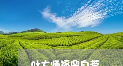 叶大师福鼎白茶/2023111746040