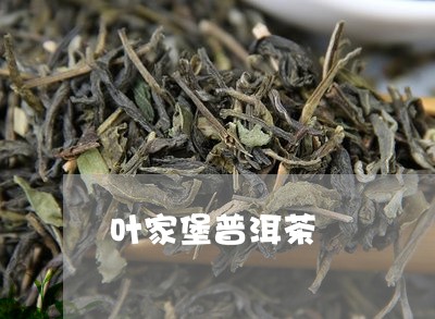 叶家堡普洱茶/2023042809731