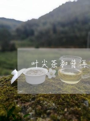 叶尖茶和普洱茶哪个贵/2023080378259