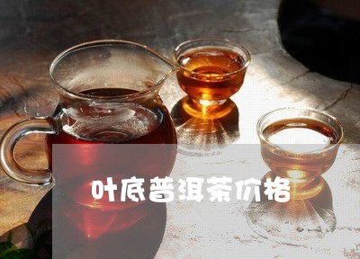 叶底普洱茶价格/2023120328270