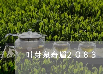 叶芽泉寿眉2083/2023120551682