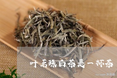 叶茗珠白茶是一杯茶/2023121709694