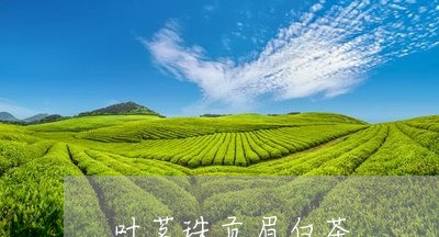 叶茗珠贡眉白茶/2023112532615