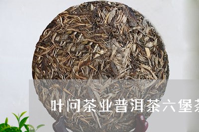 叶问茶业普洱茶六堡茶/2023080122734