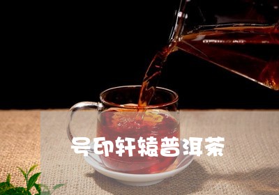 号印轩辕普洱茶/2023112642504