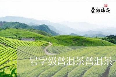 号字级普洱茶普洱茶一级还是八级好/2023060399261