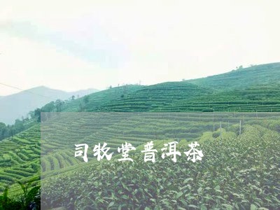 司牧堂普洱茶/2023042515869