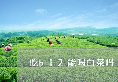 吃b12能喝白茶吗/2023071351513