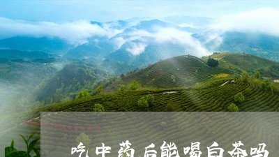 吃中药后能喝白茶吗/2023071530593