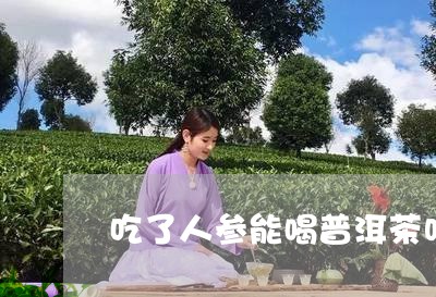 吃了人参能喝普洱茶吗/2023063014047