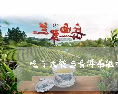 吃了大餐后普洱茶能喝吗/2023112749472