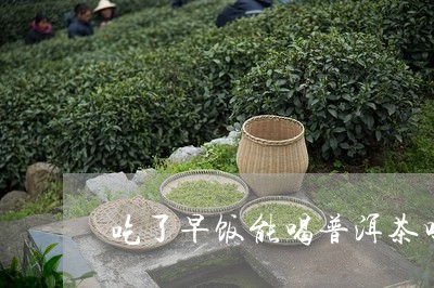 吃了早饭能喝普洱茶吗空腹/2023110501693