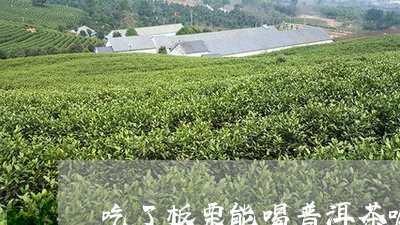 吃了板栗能喝普洱茶嘛/2023092993915