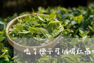 吃了橙子可以喝红茶吗/2023060875940