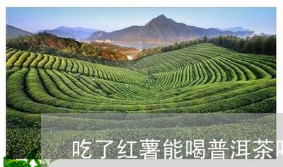 吃了红薯能喝普洱茶吗/2023062073526