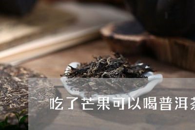 吃了芒果可以喝普洱茶/2023080224958