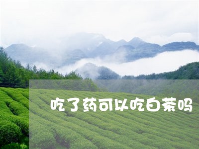 吃了药可以吃白茶吗/2023071559704