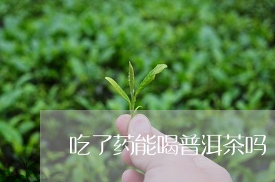 吃了药能喝普洱茶吗/2023091520815