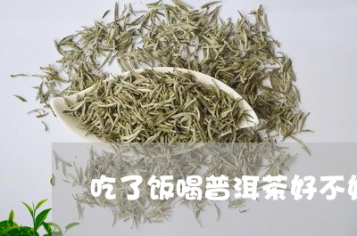 吃了饭喝普洱茶好不好/2023061537371