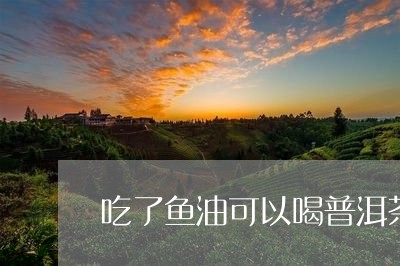 吃了鱼油可以喝普洱茶/2023100515926