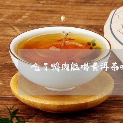 吃了鸭肉能喝普洱茶吗/2023062492816