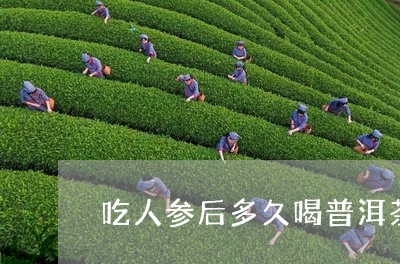 吃人参后多久喝普洱茶/2023062294139