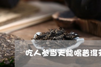 吃人参当天能喝普洱茶吗女性/2023112611516