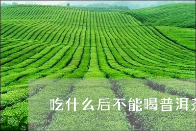 吃什么后不能喝普洱茶/2023093006250