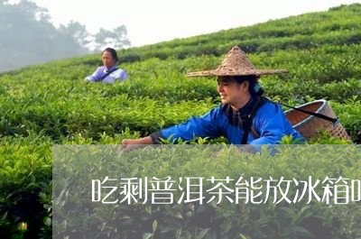 吃剩普洱茶能放冰箱吗/2023062387160