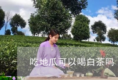 吃地瓜可以喝白茶吗/2023071508262