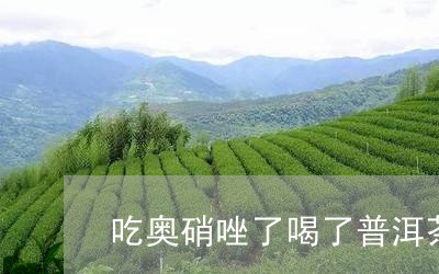 吃奥硝唑了喝了普洱茶/2023092809592