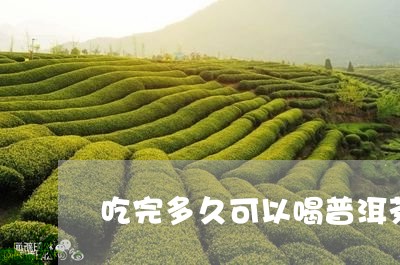 吃完多久可以喝普洱茶/2023062593149