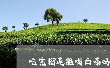 吃完榴莲能喝白茶吗/2023071664947