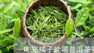 吃完橘子能喝普洱茶吗/2023062412927