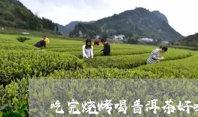 吃完烧烤喝普洱茶好吗/2023100785160