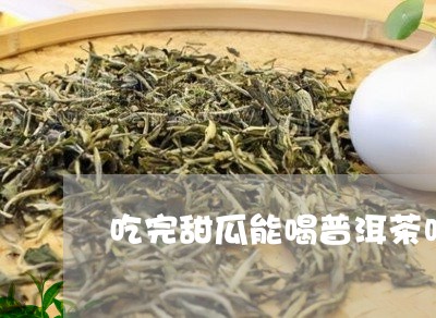 吃完甜瓜能喝普洱茶吗/2023092808480