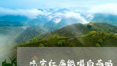 吃完红参能喝白茶吗/2023071603946