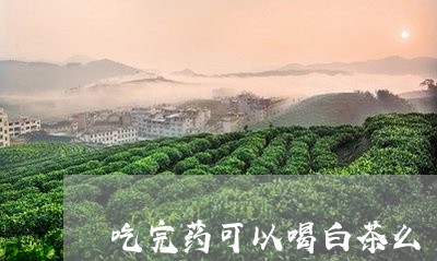 吃完药可以喝白茶么/2023071578460