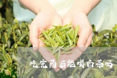 吃完药后能喝白茶吗/2023071506351