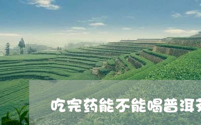 吃完药能不能喝普洱茶/2023062851714