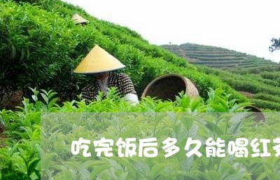 吃完饭后多久能喝红茶/2023071459495