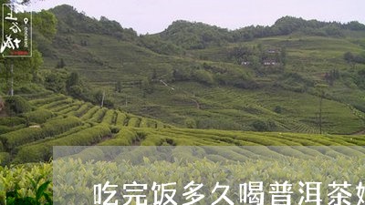 吃完饭多久喝普洱茶好/2023092973039