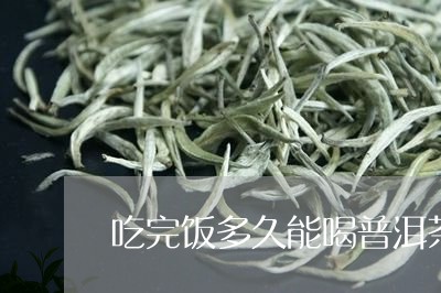 吃完饭多久能喝普洱茶/2023092727170