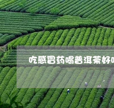 吃感冒药喝普洱茶好吗/2023072271715