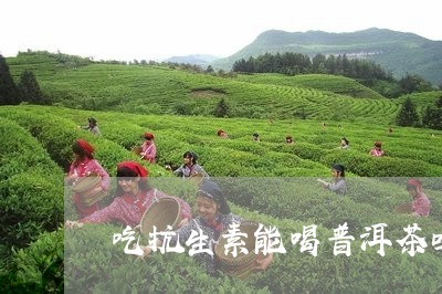 吃抗生素能喝普洱茶吗/2023061561852