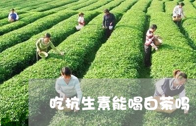 吃抗生素能喝白茶吗/2023121793727