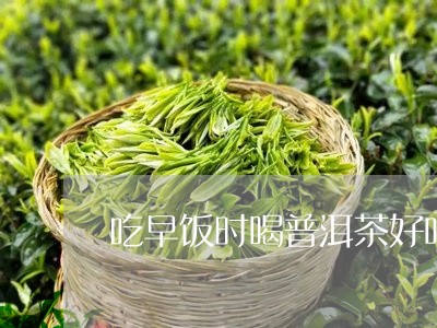 吃早饭时喝普洱茶好吗/2023092884302