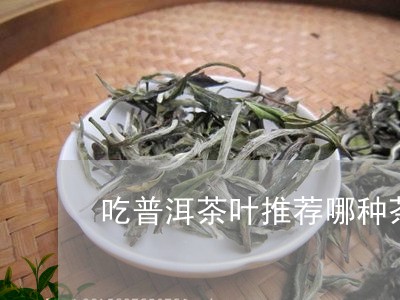 吃普洱茶叶推荐哪种茶好/2023121527393